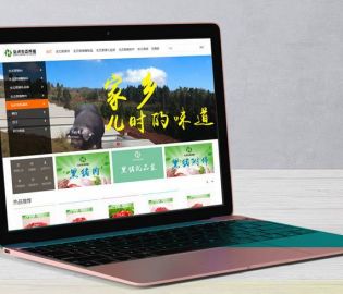 弘济生态黑猪商城